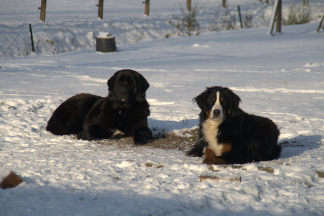 Kyra en Britt