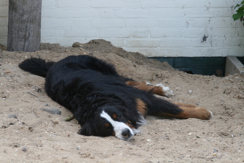 britt in het zand