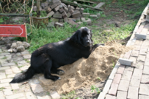 lekker zand