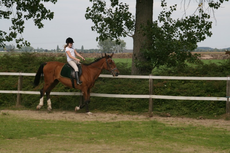 in galop